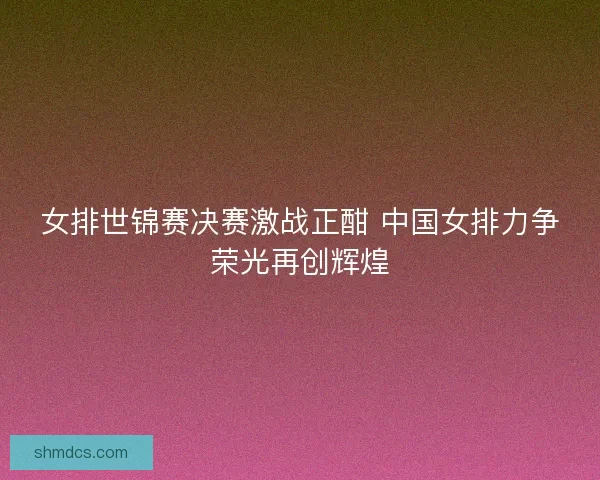 女排世锦赛决赛激战正酣 中国女排力争荣光再创辉煌 女排世锦赛决赛激战正酣 中国女排力争荣光再创辉煌