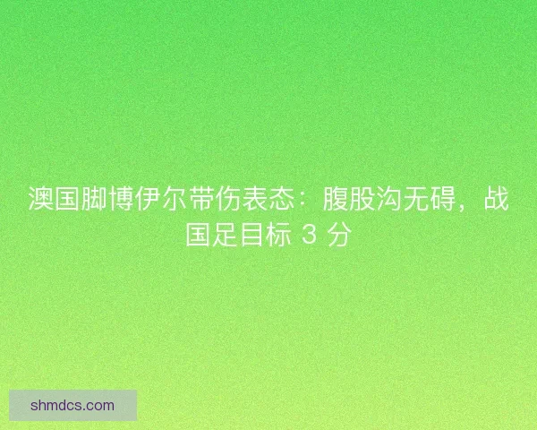 澳国脚博伊尔带伤表态：腹股沟无碍，战国足目标 3 分