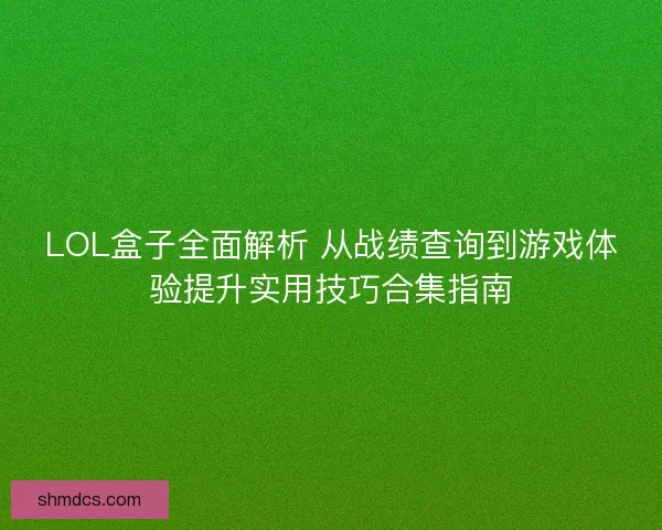 LOL盒子全面解析 从战绩查询到游戏体验提升实用技巧合集指南
