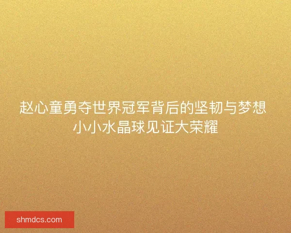赵心童勇夺世界冠军背后的坚韧与梦想 小小水晶球见证大荣耀