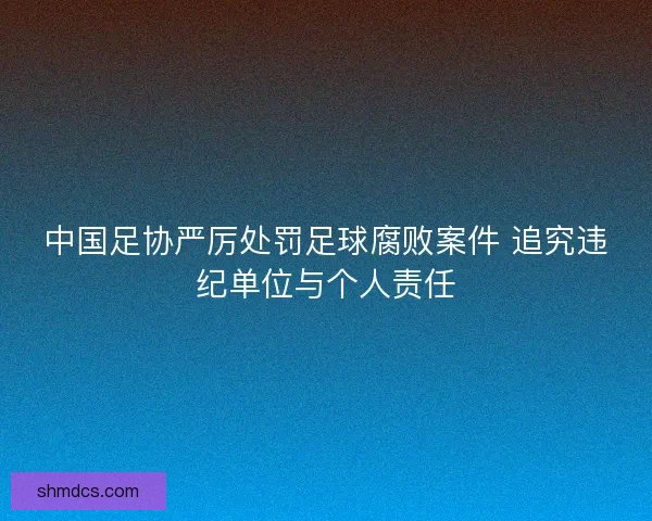 中国足协严厉处罚足球腐败案件 追究违纪单位与个人责任 中国足协严厉处罚足球腐败案件 追究违纪单位与个人责任